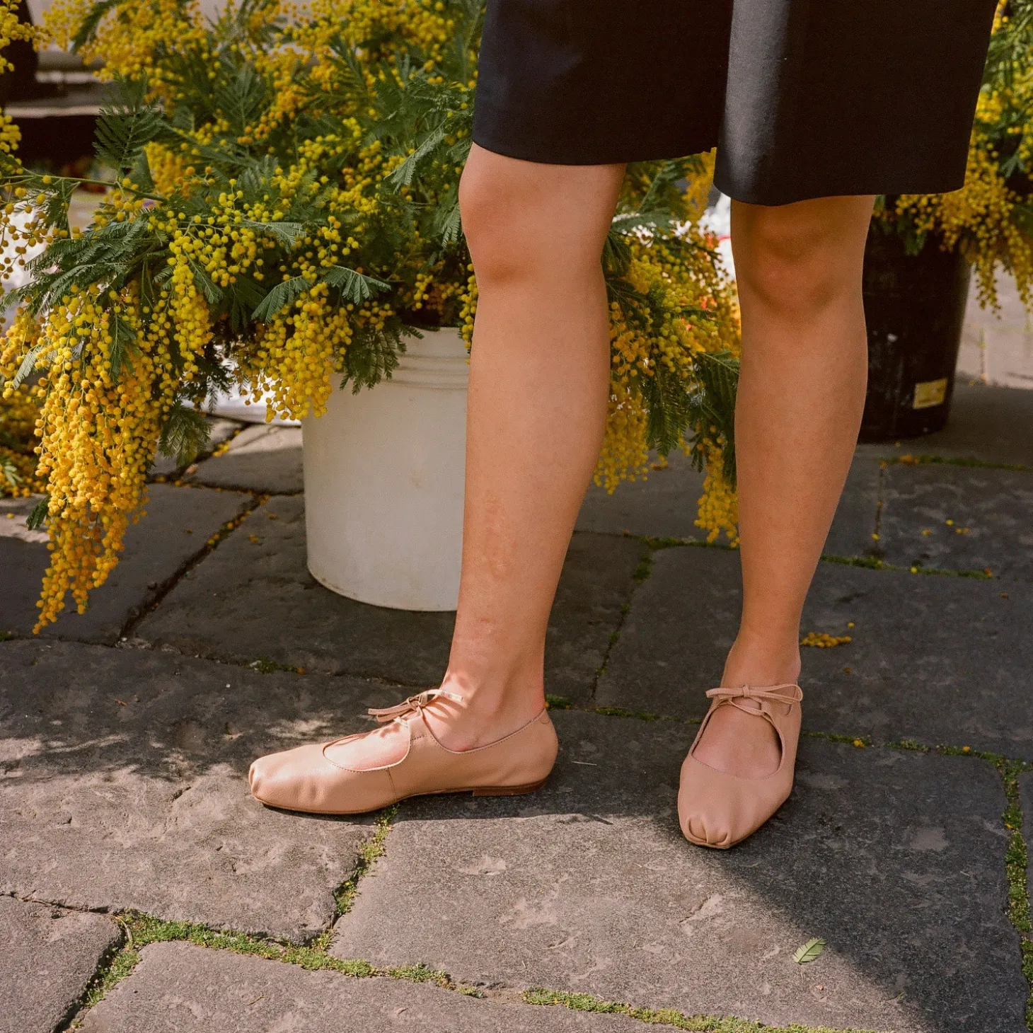 Baleriny|Balagan Batsheva Baleriny, Biszkoptowy