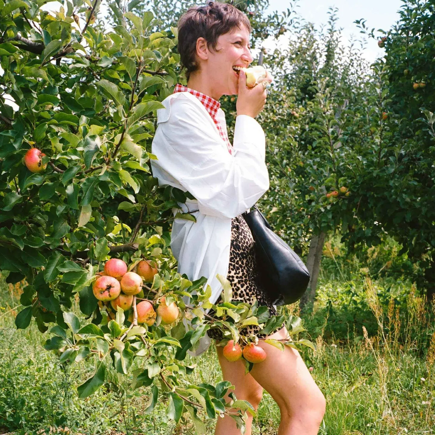 Listonoszki|Balagan Beatrice Torebka M, Czarny