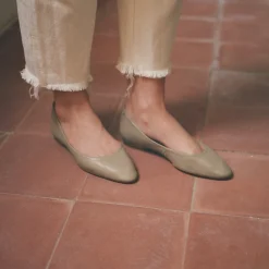 Baleriny|Balagan Mishor Baleriny, Kamienny Szary