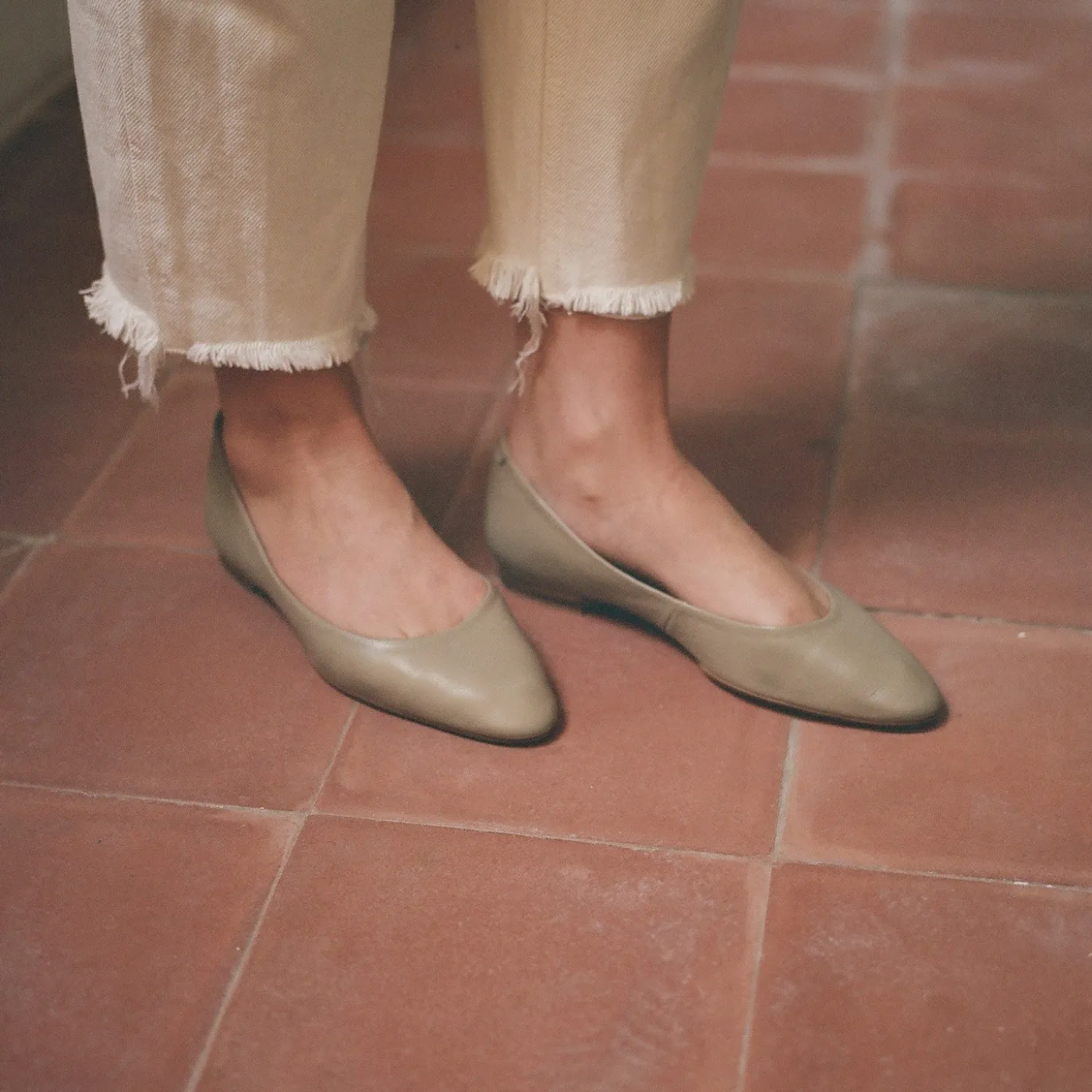 Baleriny|Balagan Mishor Baleriny, Kamienny Szary