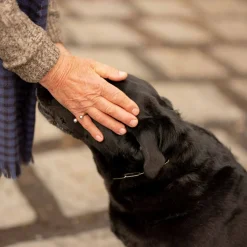 Biżuteria|Balagan Pierscionek Z Dwoma Kulkami