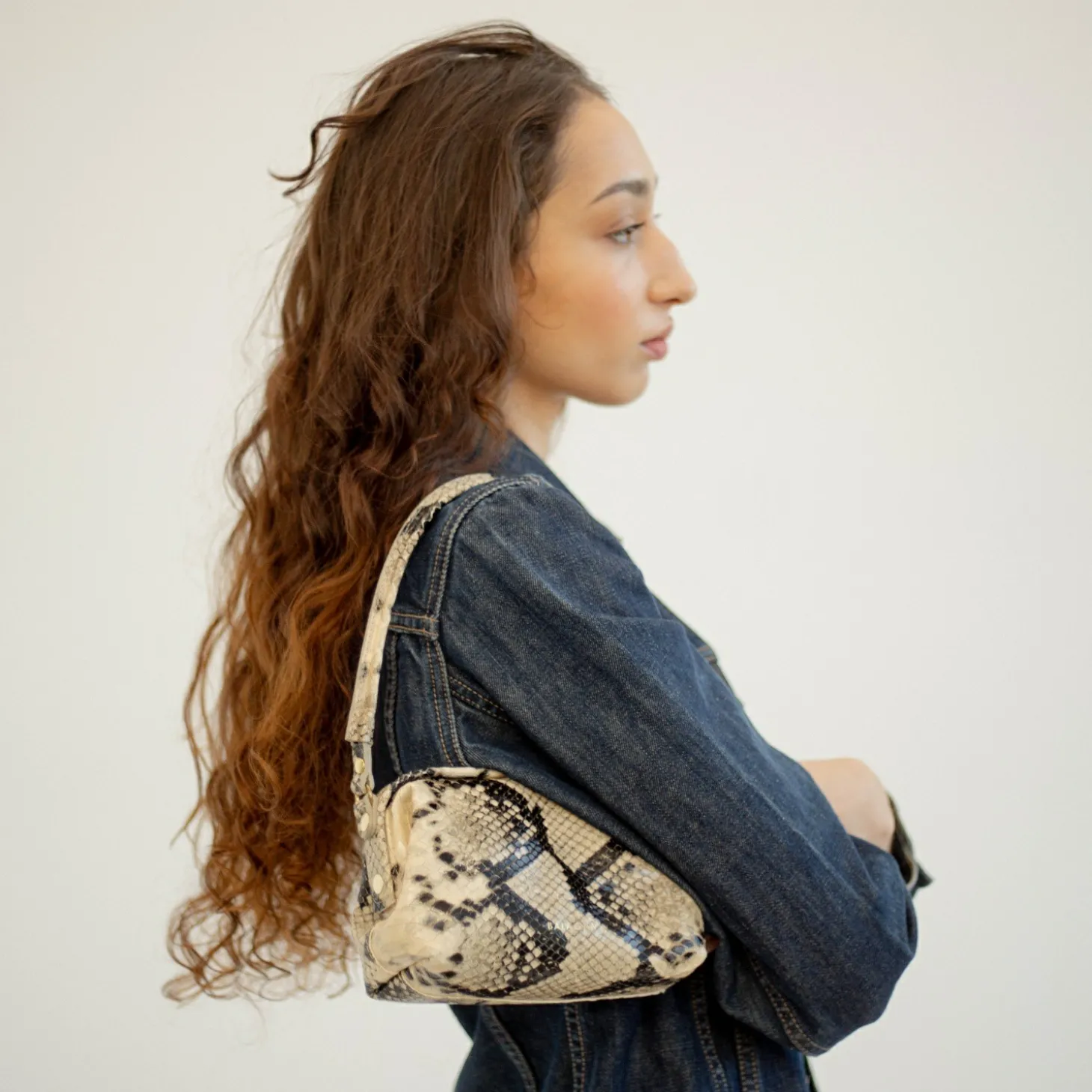 Minitorebki|Balagan Roha Torebka, Zlamana Biel Pytona